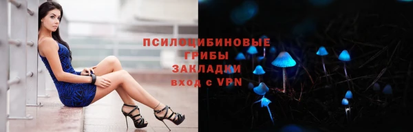 прущие грибы Абинск