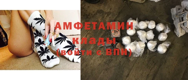 индика Алексин