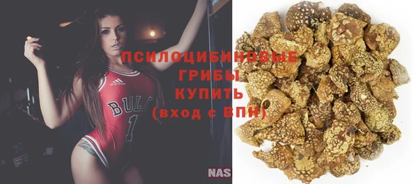амф Абдулино