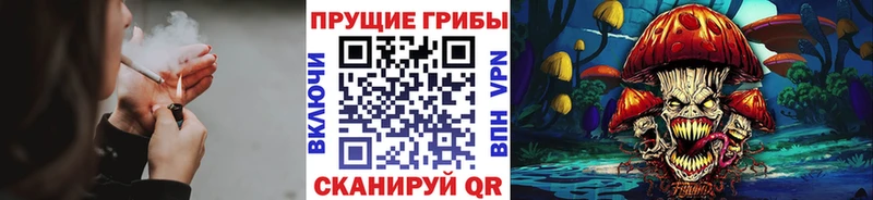 Псилоцибиновые грибы мицелий  площадка состав  Вичуга 